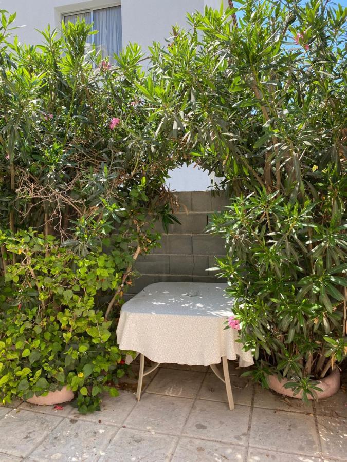 Dub House 2 Apartment Paphos Exterior photo